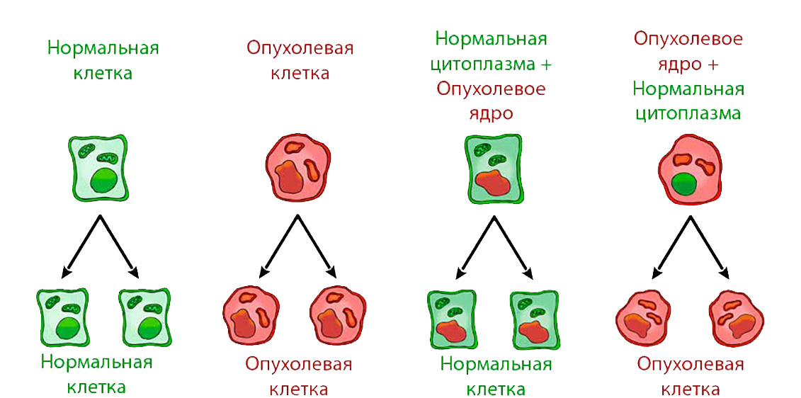 Эксперимент